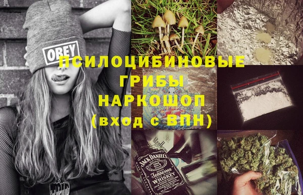 гидра Новозыбков