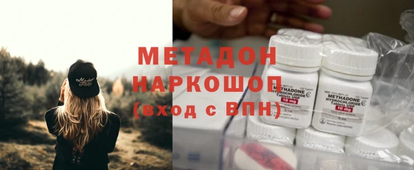 сатива Новокубанск