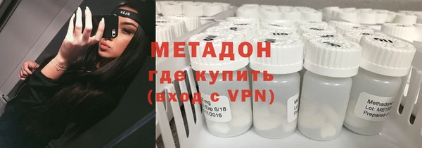 сатива Новокубанск