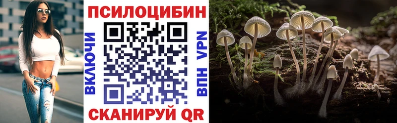 Псилоцибиновые грибы Cubensis  Неман 